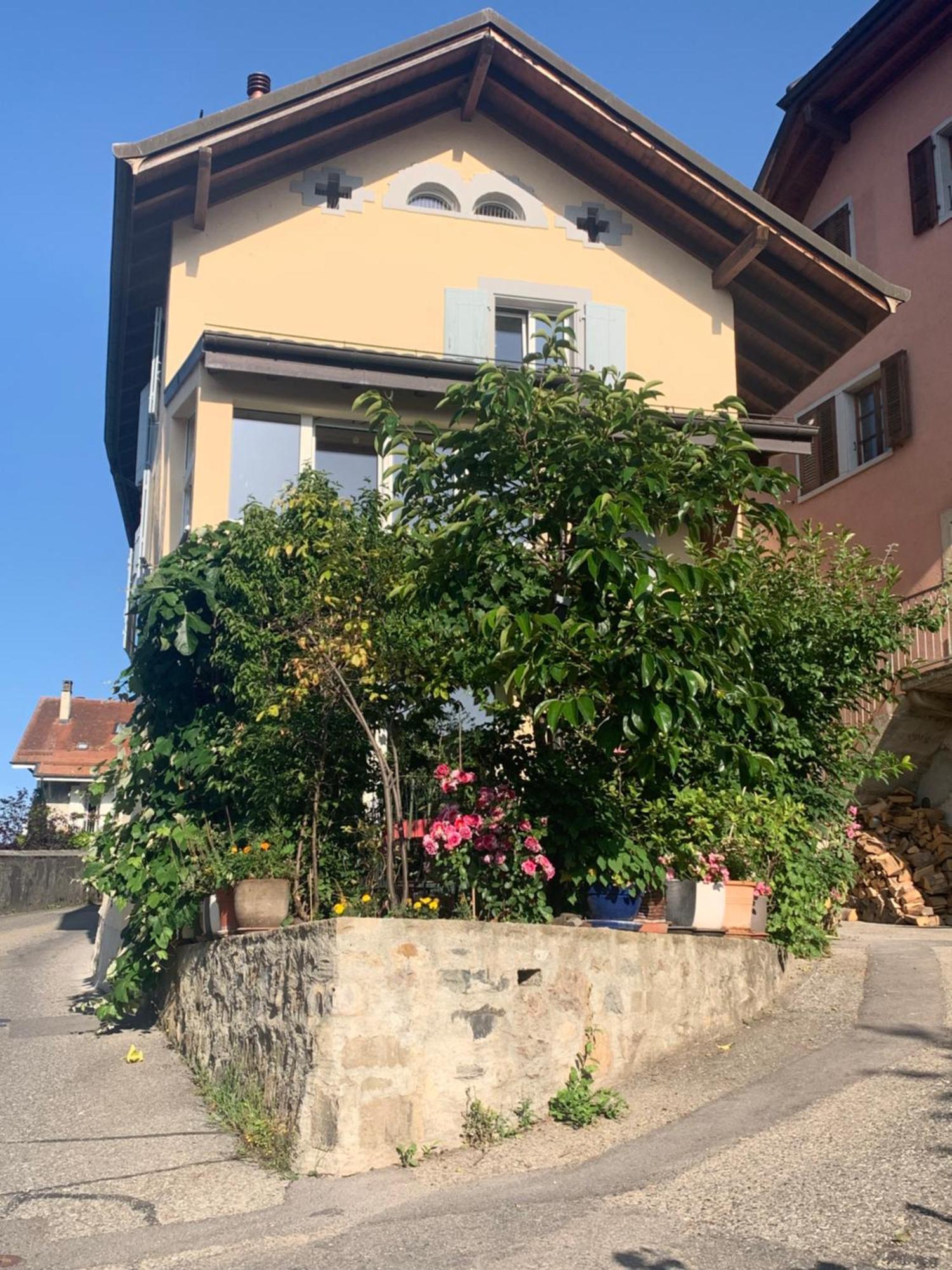 Tournicolette - 52 M2 Charme Fou Daire Chardonne Dış mekan fotoğraf